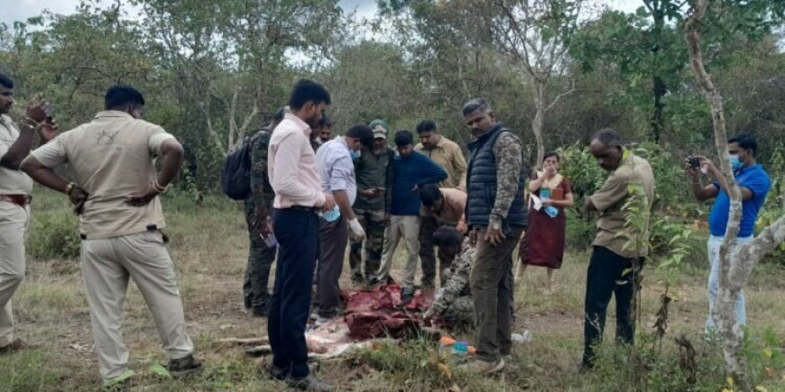 ബന്ദിപ്പുരിൽ മാൻവേട്ടക്കാരും വനംവകുപ്പ് ഉദ്യോഗസ്ഥരും ഏറ്റുമുട്ടി; വെടിവെയ്പ്പിൽ ഒരു മരണം