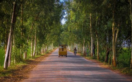 മതപരിവർത്തനത്തിന് ശ്രമിച്ചുവെന്ന ആരോപണത്തെ തുടർന്ന് പൂനെയിൽ അമേരിക്കൻ പൗരനെ അറസ്റ്റ് ചെയ്തു