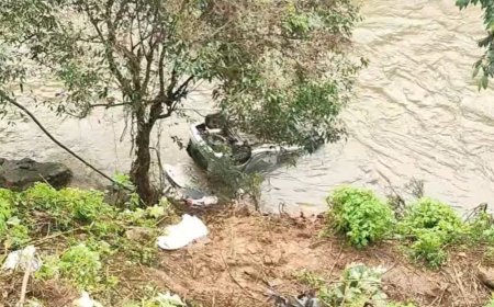 ഇടുക്കി ഏലപ്പാറയ്ക്ക് സമീപം കാർ തോട്ടിലേക്ക് മറിഞ്ഞ് തിരുവനന്തപുരം സ്വദേശി മരിച്ചു; മൂന്നുപേർക്ക് പരിക്ക്