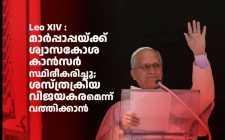 Leo XIV : മാർപ്പാപ്പയ്ക്ക് ശ്വാസകോശ കാൻസർ സ്ഥിരീകരിച്ചു; ശസ്ത്രക്രിയ വിജയകരമെന്ന് വത്തിക്കാൻ